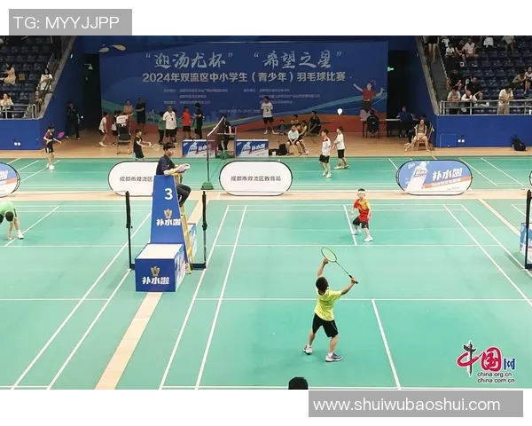 武汉羽毛球队与深圳羽毛球队赛后复盘分析意识对抗与战术运用