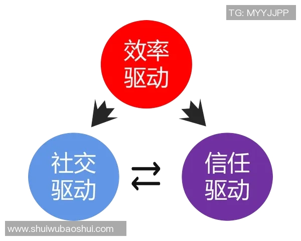 深圳篮球队反击战术分析及其成败得失的深度探讨