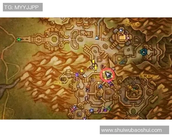 深度对话：杨敏在DOTA2世界中的成长与挑战之旅