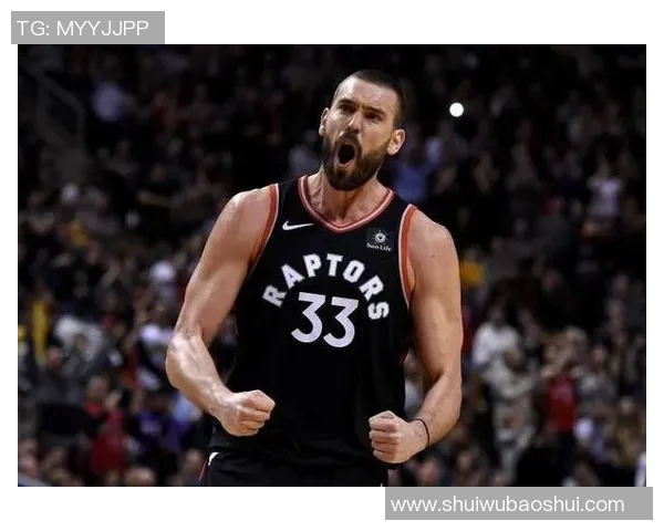 勇士与猛龙实力对决分析谁能在这场小型较量中胜出