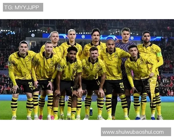 多特蒙德球迷暴力事件引发欧冠禁赛与巨额罚款风波