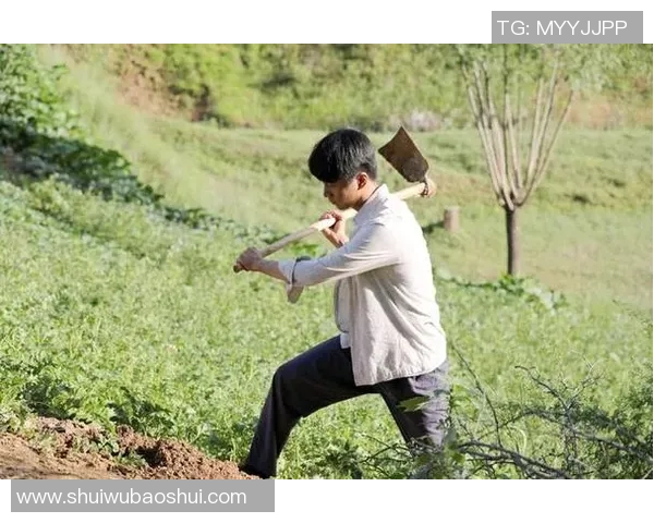 张帆的奋斗之路：从普通青年到行业领军人物的成长故事