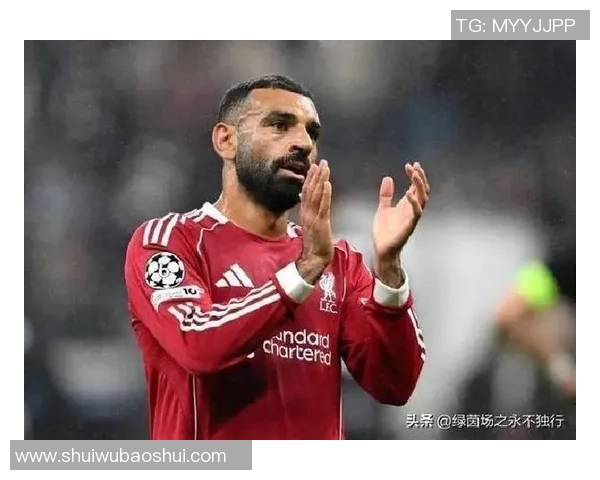 维尔茨：年轻天才在绿茵场上的崛起与未来展望