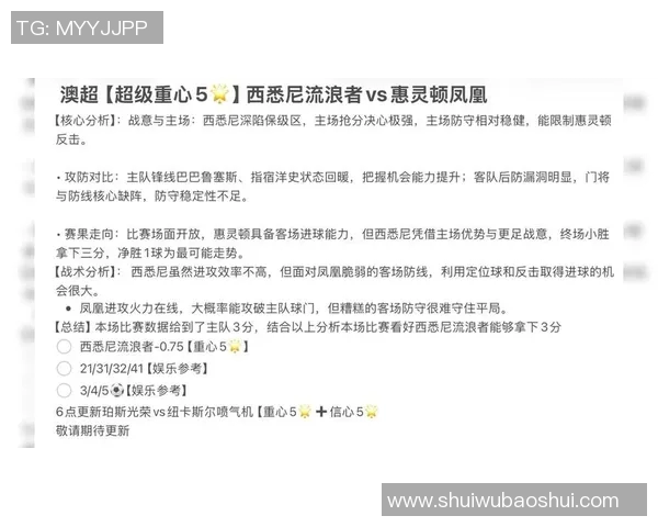 西悉尼对阵惠灵顿的战术分析与近期状态评估