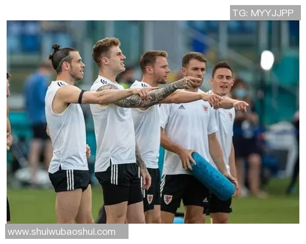 中国对阵威尔士足球赛精彩回顾与战术分析全景展示