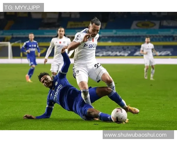 利兹联与切尔西精彩对决视频回顾及赛后分析